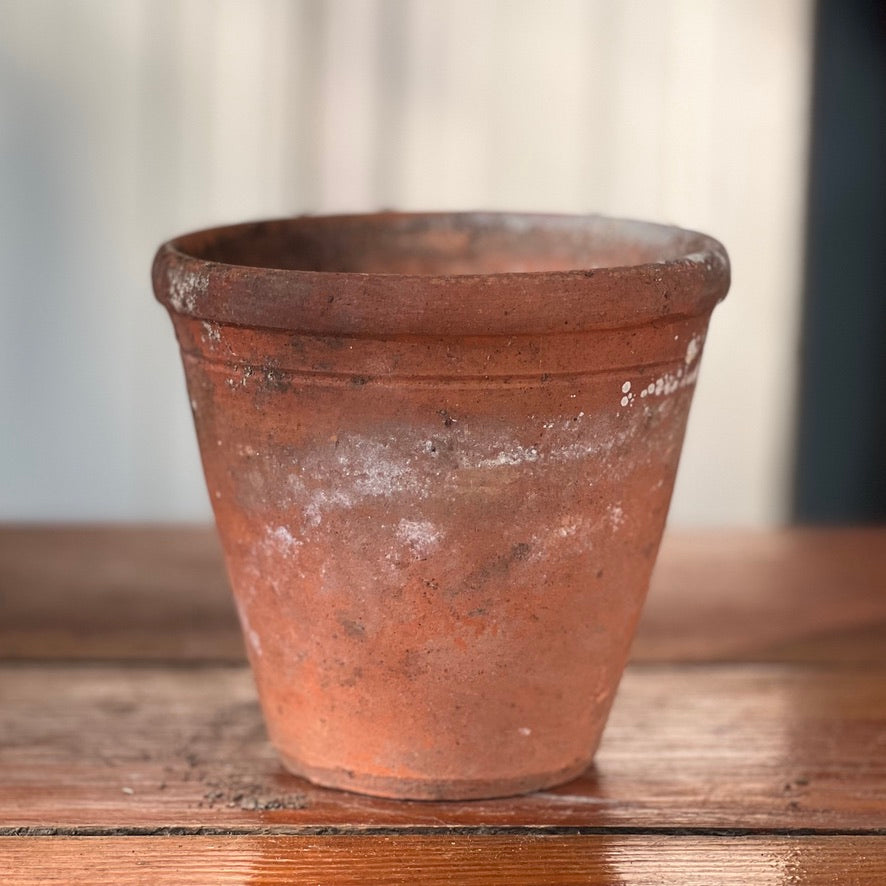 Antique English Terracotta Flowerpot
