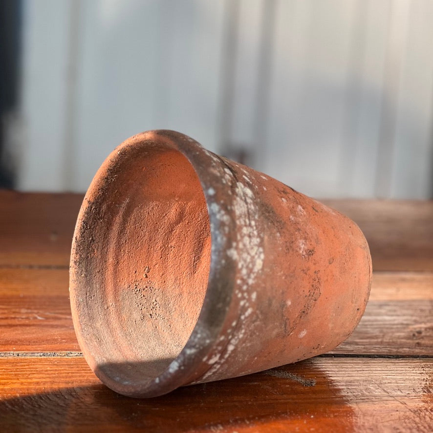 Antique English Terracotta Flowerpot