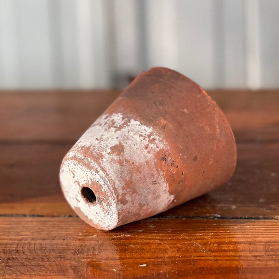 Antique English Terracotta Flowerpot