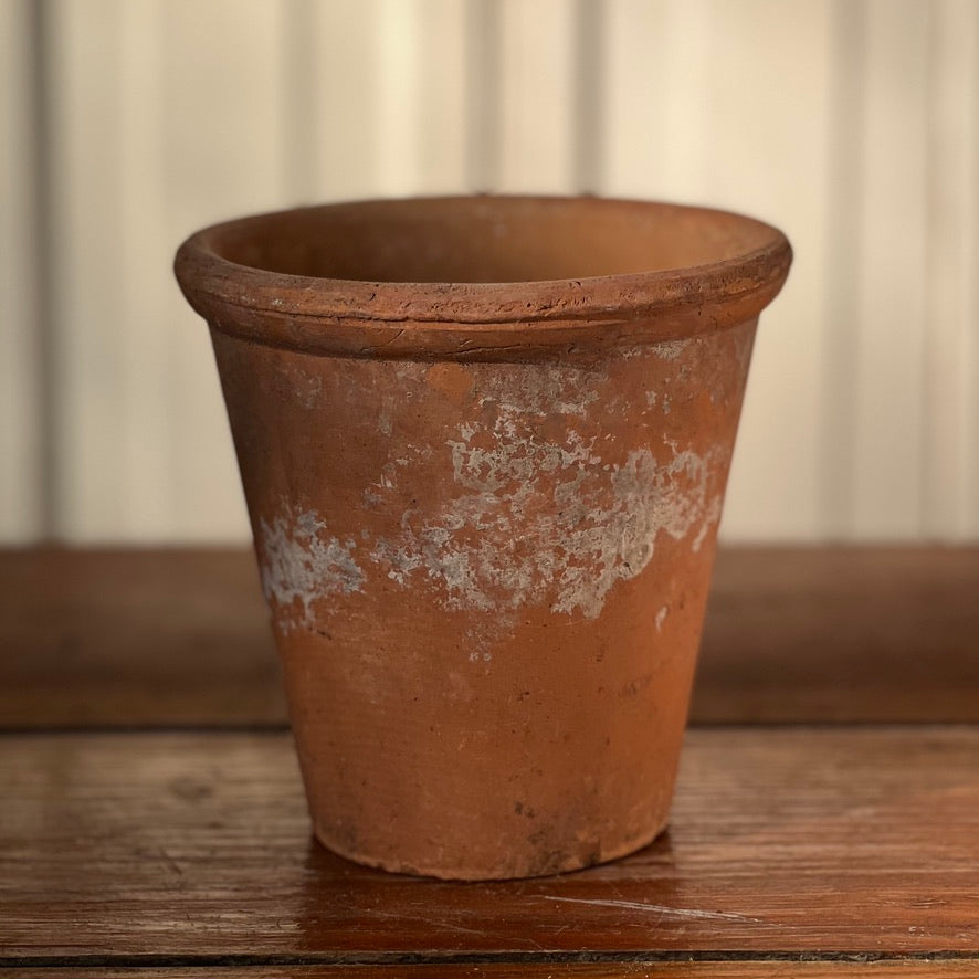 Antique English Terracotta Flowerpot