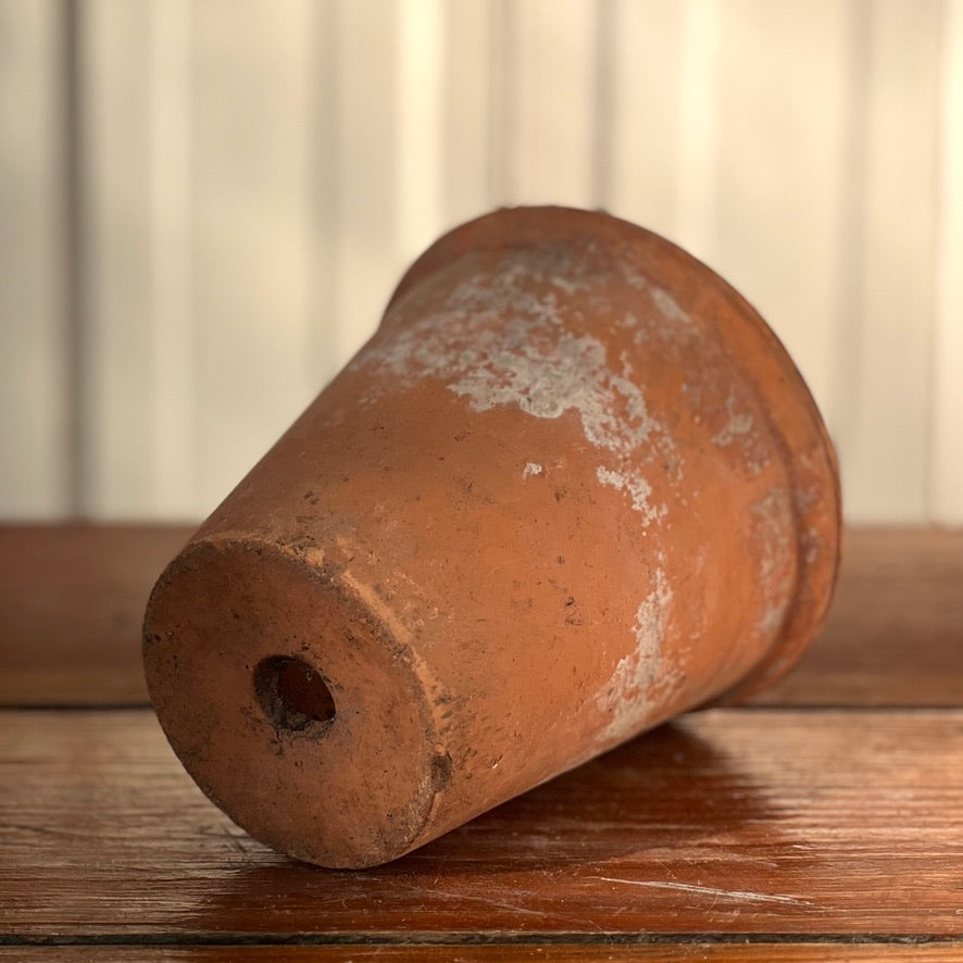 Antique English Terracotta Flowerpot