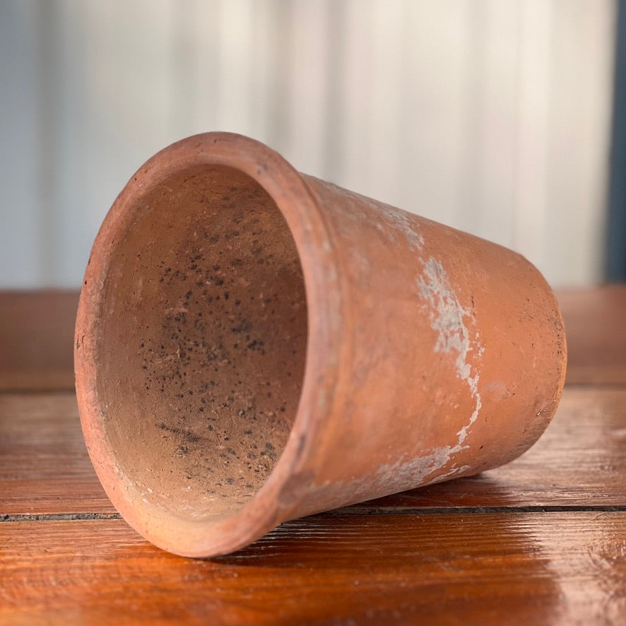 Antique English Terracotta Flowerpot