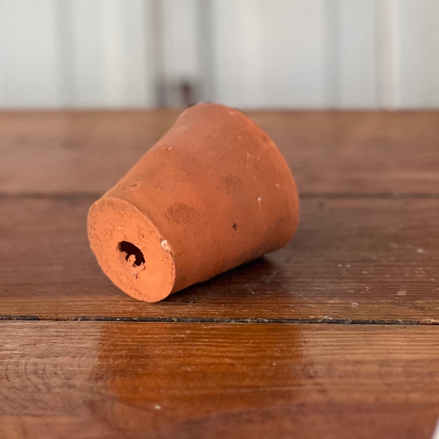 Antique English Terracotta Seedling Pot