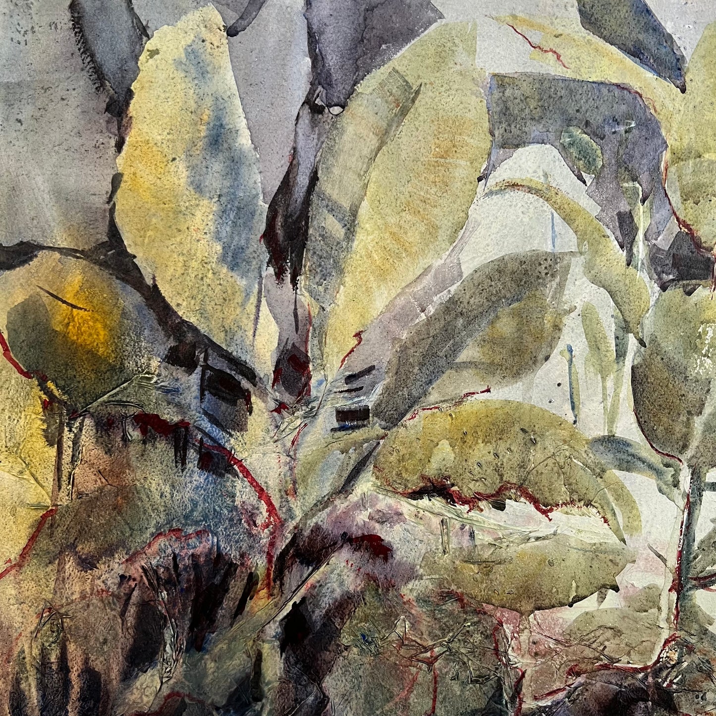 BETTE G. ELLIOTT, Milkweed Plant, Watercolor 5