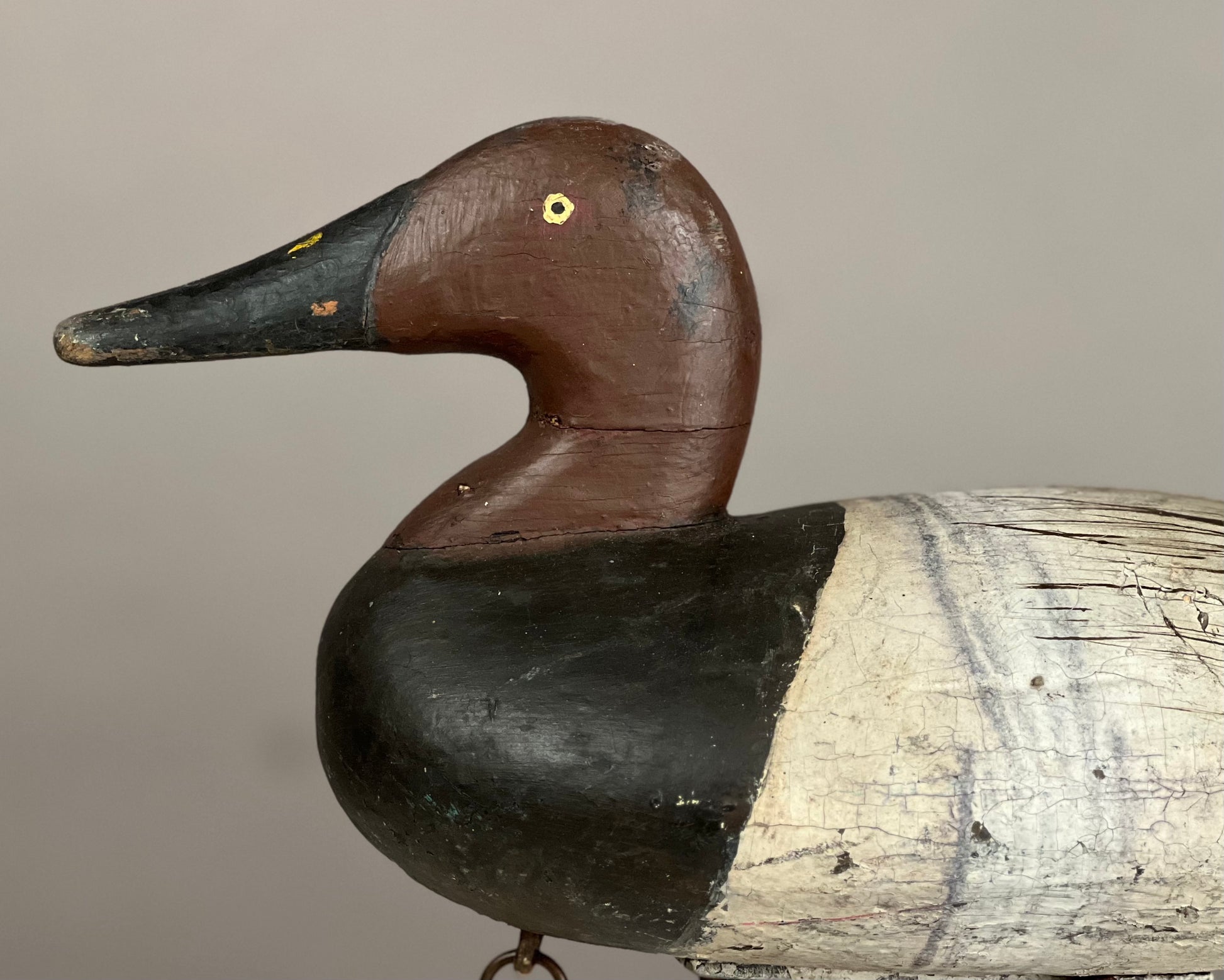 Canvasback Duck Decoy