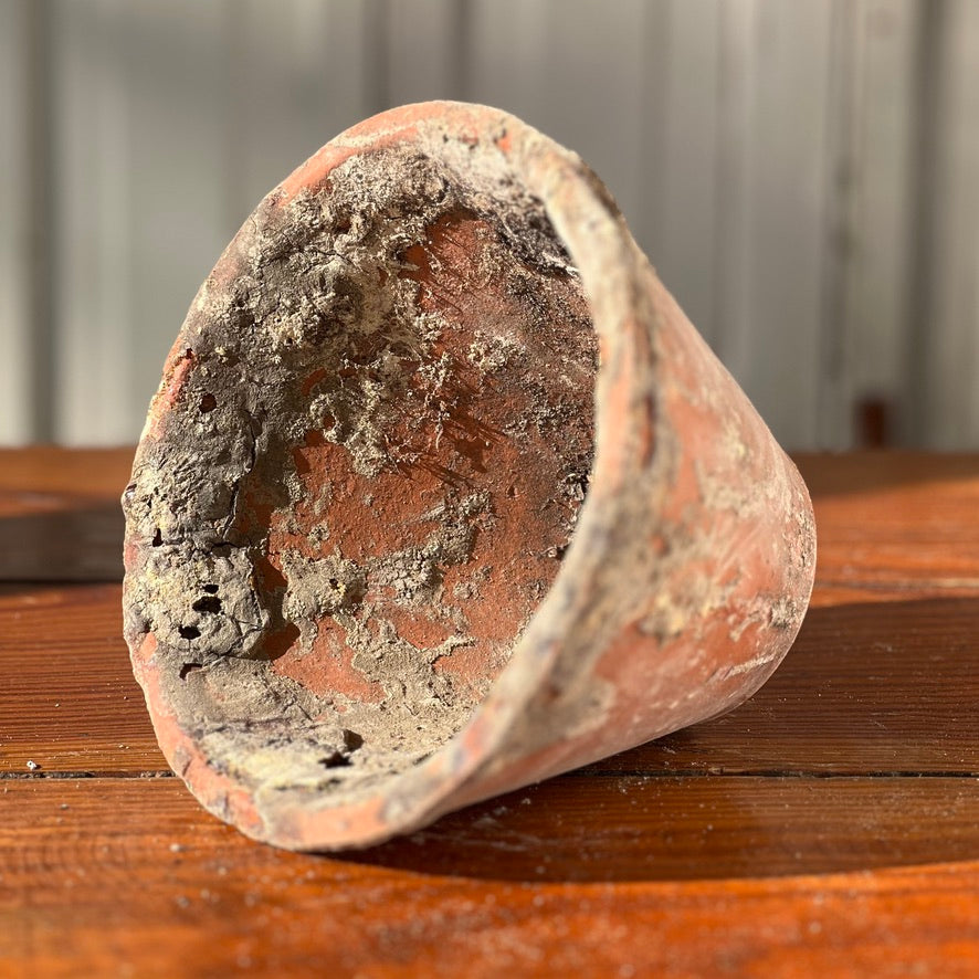 Early 1900s French Handmade Terracotta Pitch Pot