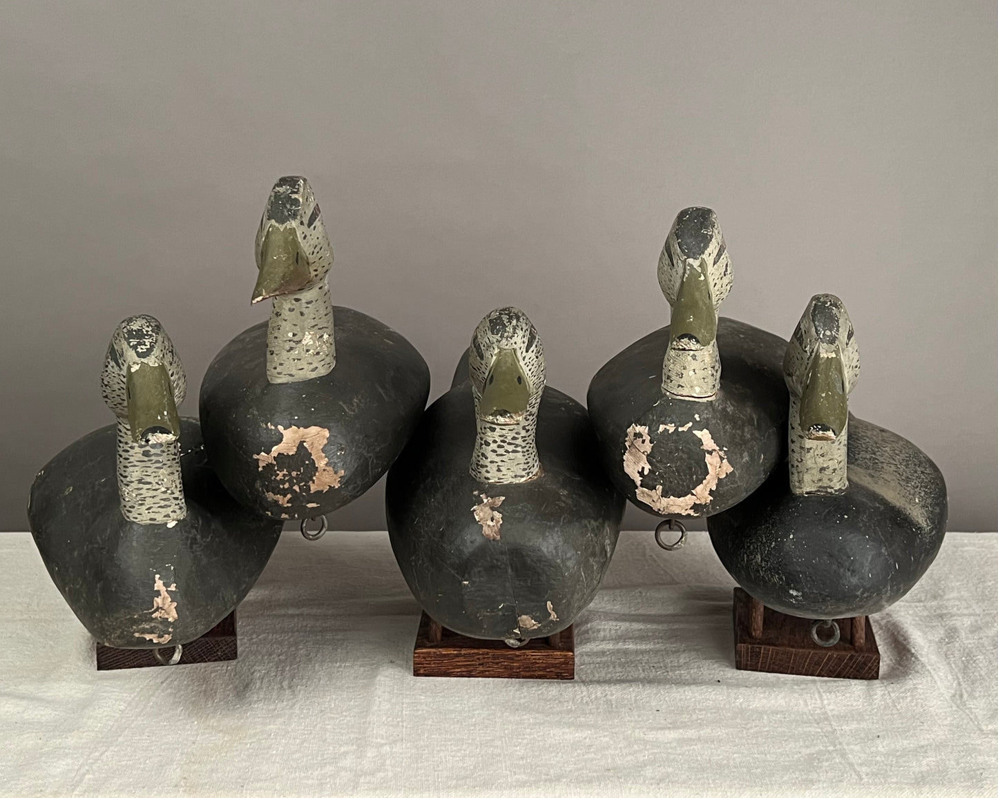 Rig of 5 Black Duck Decoys