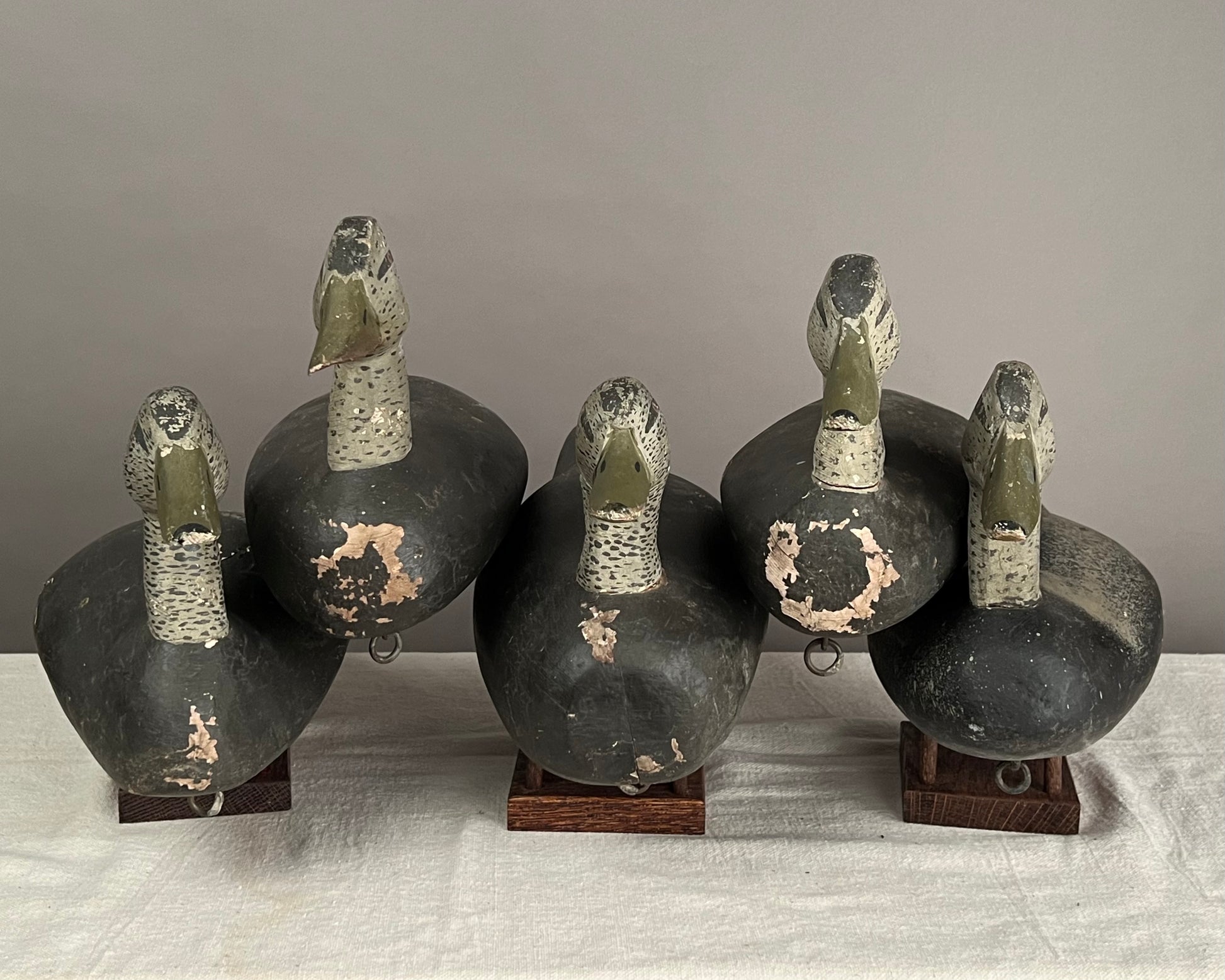 Rig of 5 Black Duck Decoys