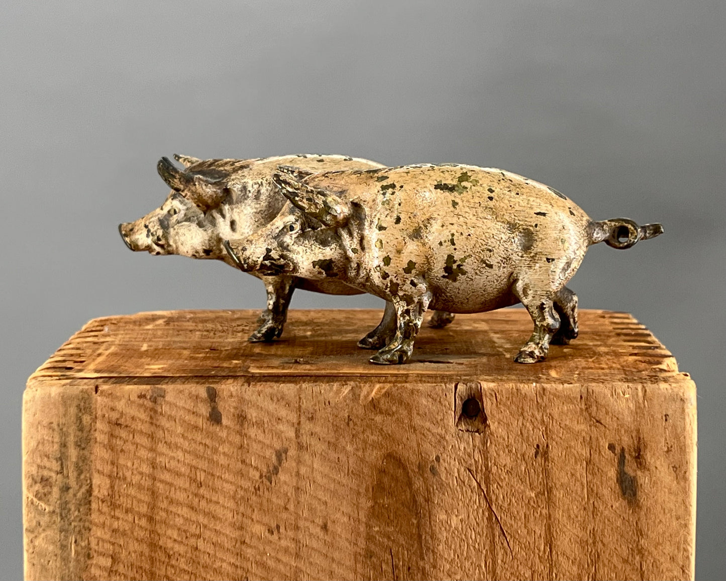 Geschützt, Vienna Bronze Cold Painted Pigs