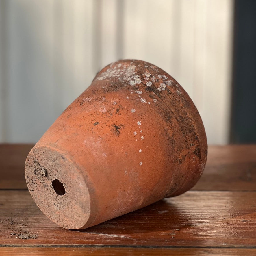 Antique English Terracotta Flowerpot 