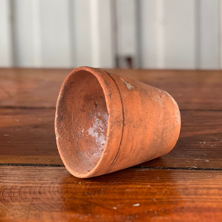 Antique English Terracotta Flowerpot