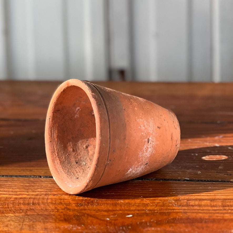 Antique English Terracotta Flowerpot