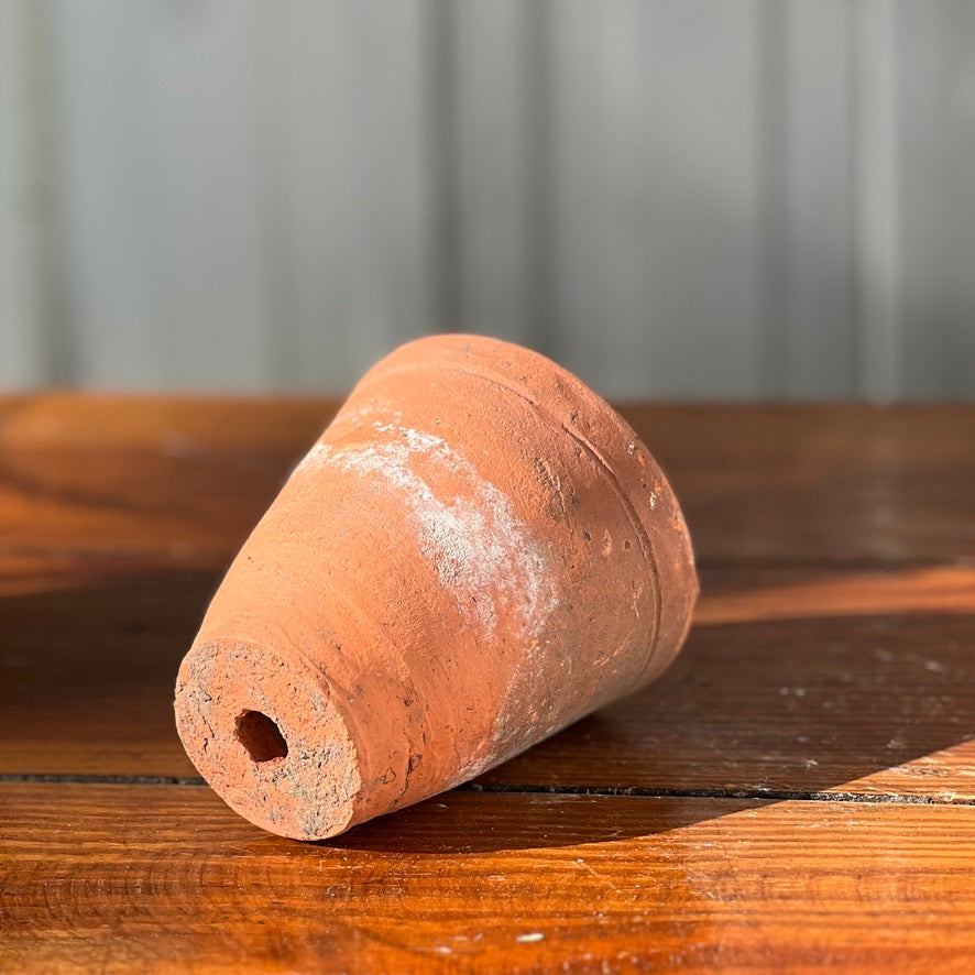 Antique English Terracotta Flowerpot