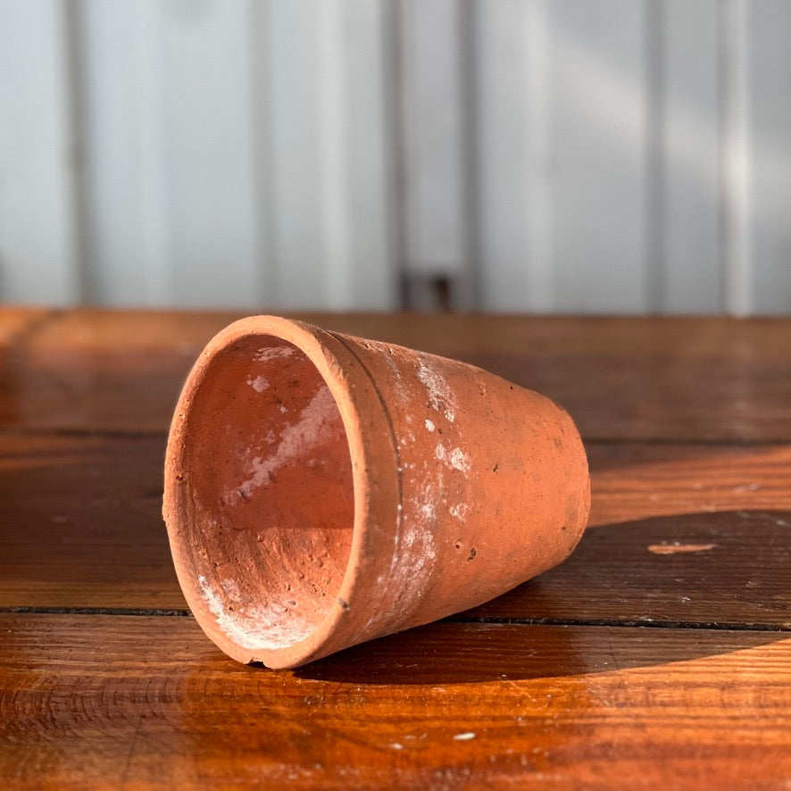 Antique English Terracotta Flowerpot