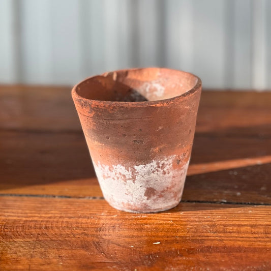 Antique English Terracotta Flowerpot