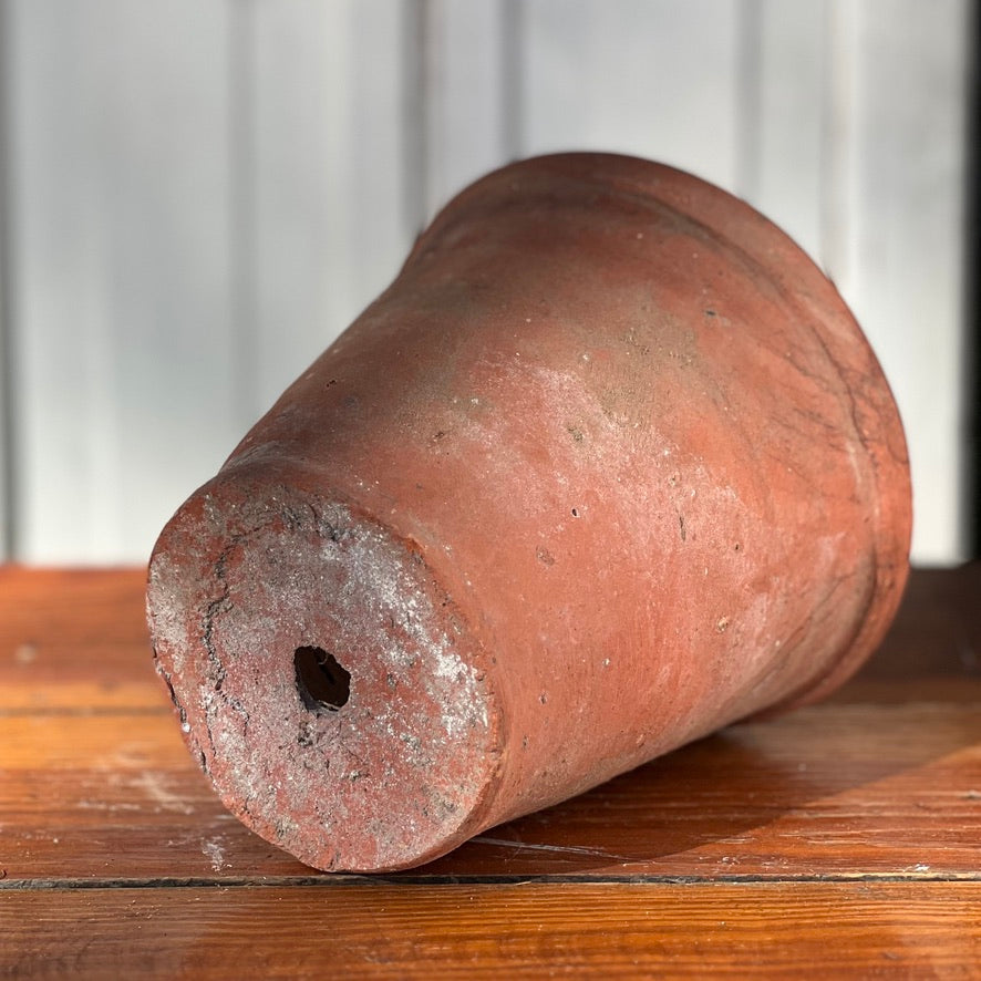 Antique English Terracotta Flowerpot