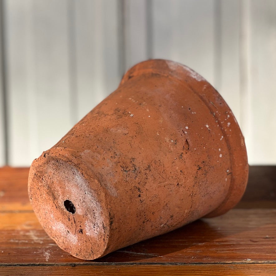 Antique English Terracotta Flowerpot