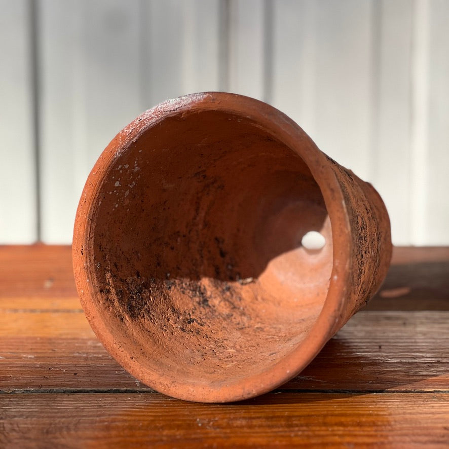 Antique English Terracotta Flowerpot