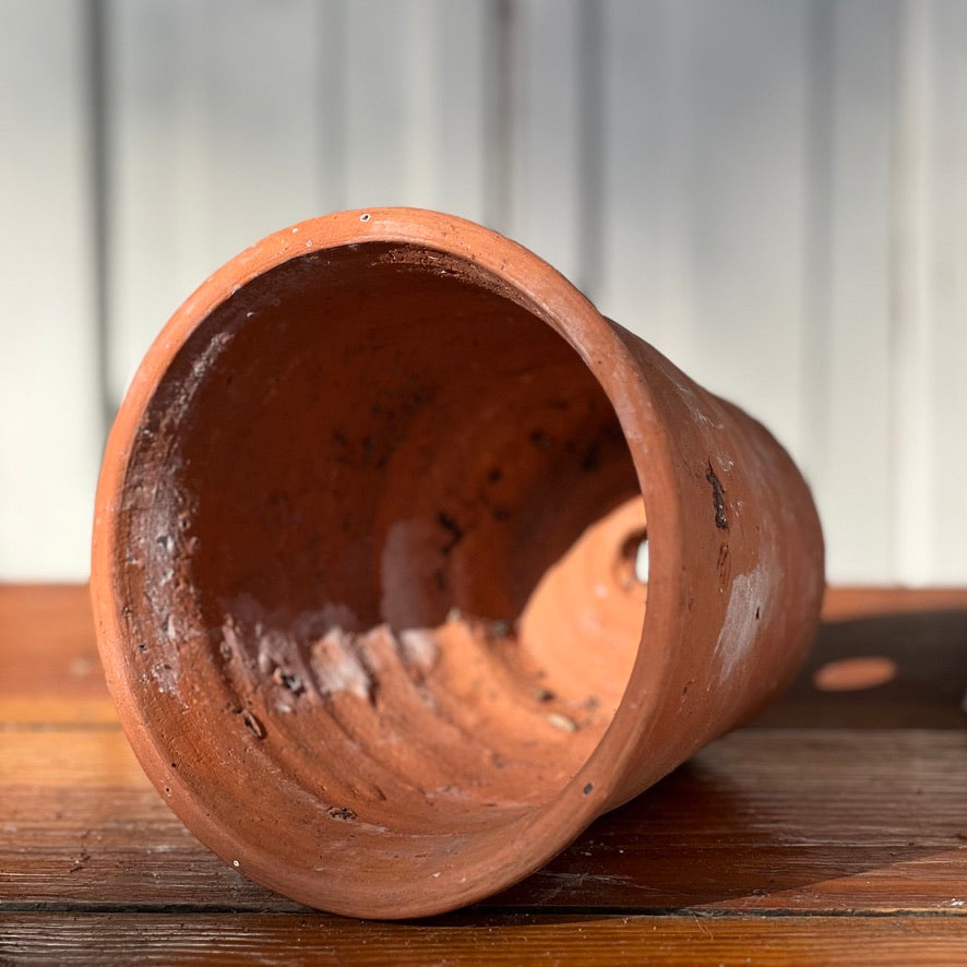 Antique English Terracotta Flowerpot