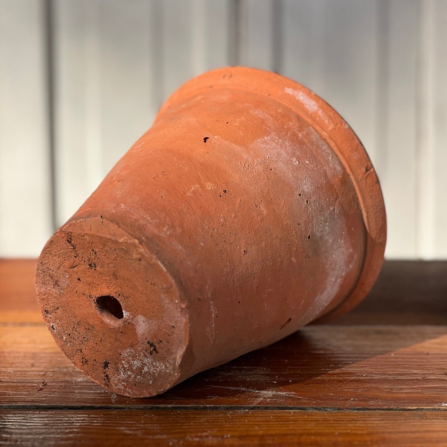 Antique English Terracotta Flowerpot