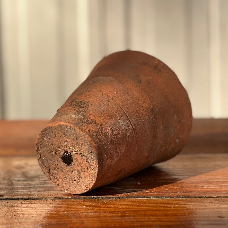 Antique English Terracotta Flowerpot