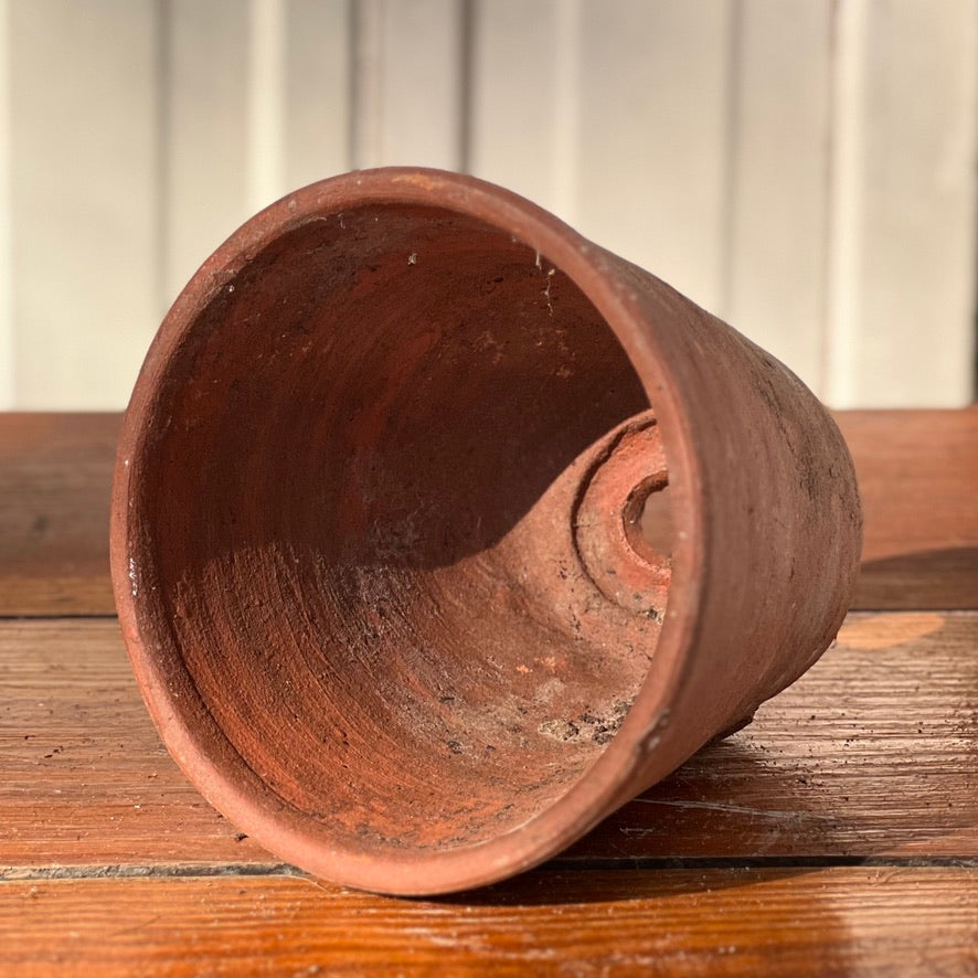 Antique English Terracotta Flowerpot