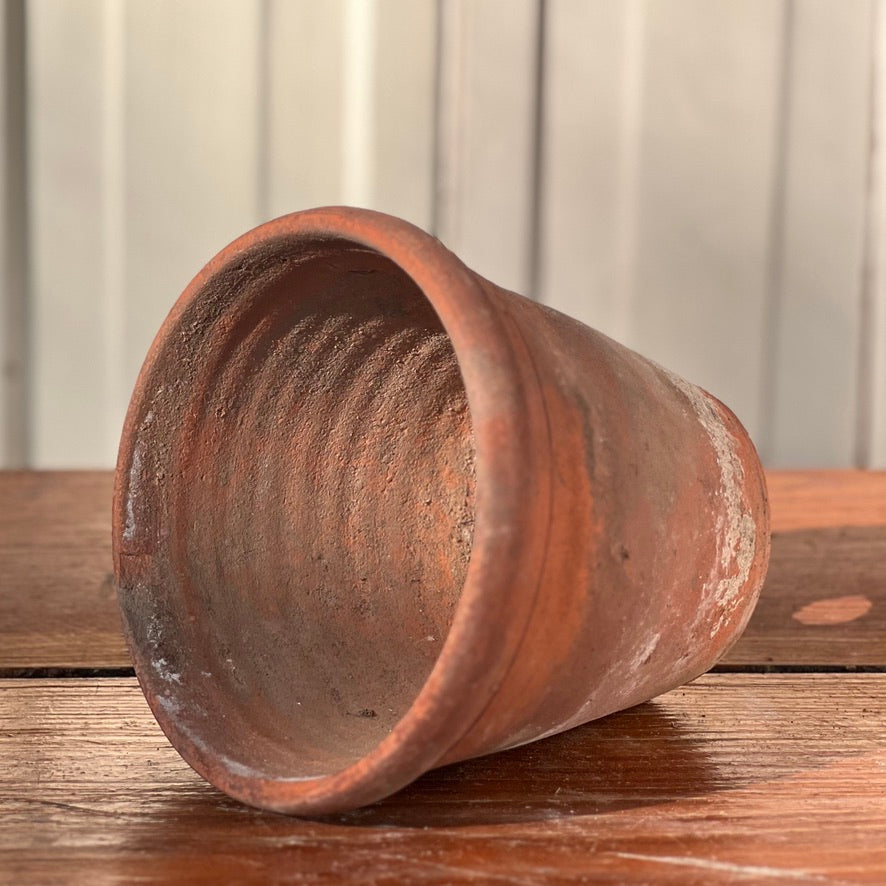 Antique English Terracotta Flowerpot