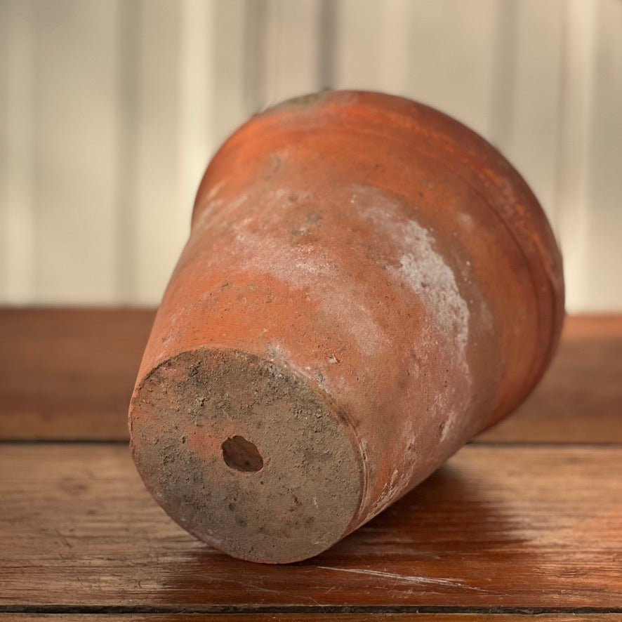 Antique English Terracotta Flowerpot