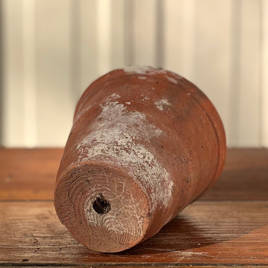 Antique English Terracotta Flowerpot