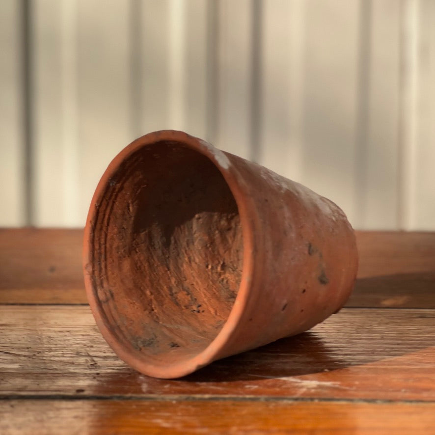 Antique English Terracotta Flowerpot