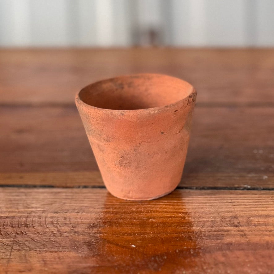 Antique English Terracotta Seedling Pot