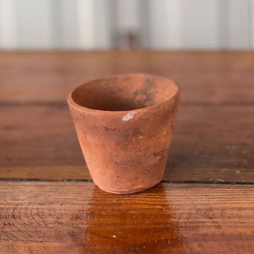 Antique English Terracotta Seedling Pot