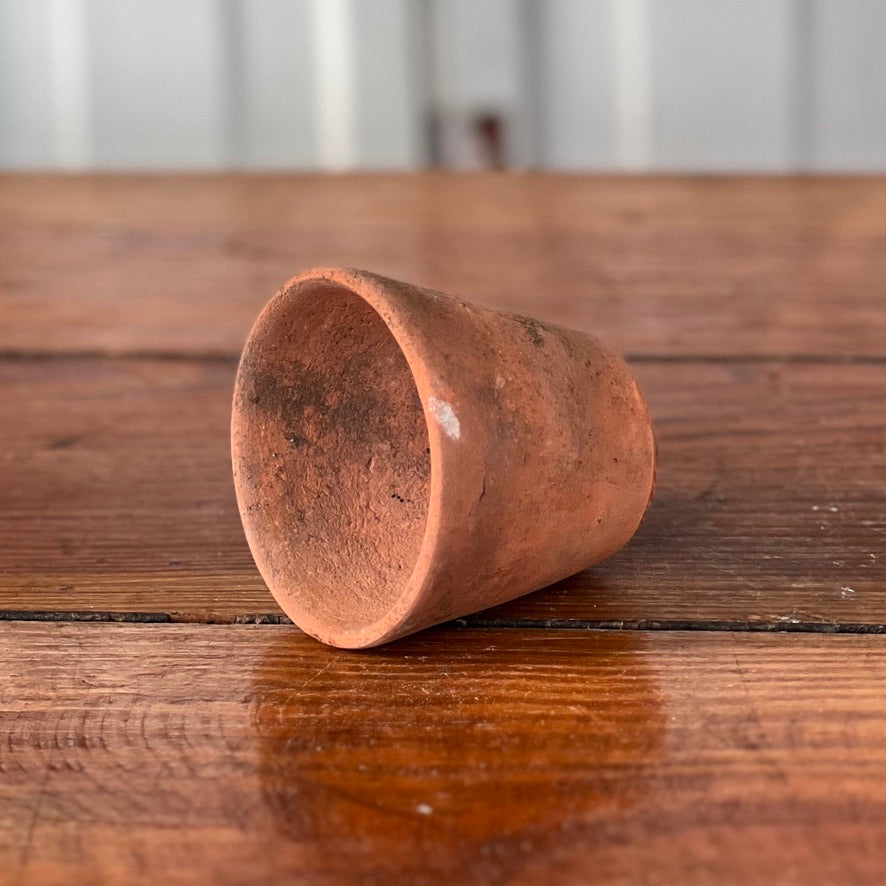 Antique English Terracotta Seedling Pot