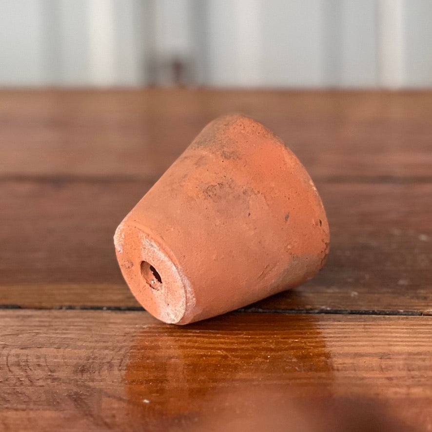 Antique English Terracotta Seedling Pot