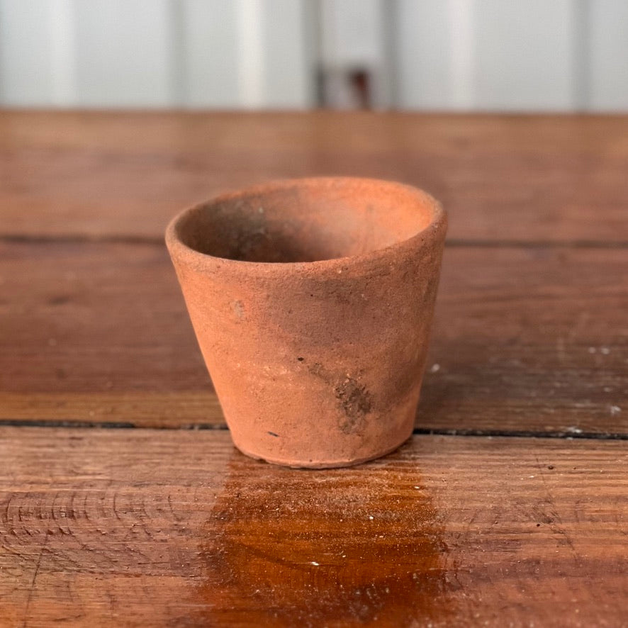 Antique English Terracotta Seedling Pot