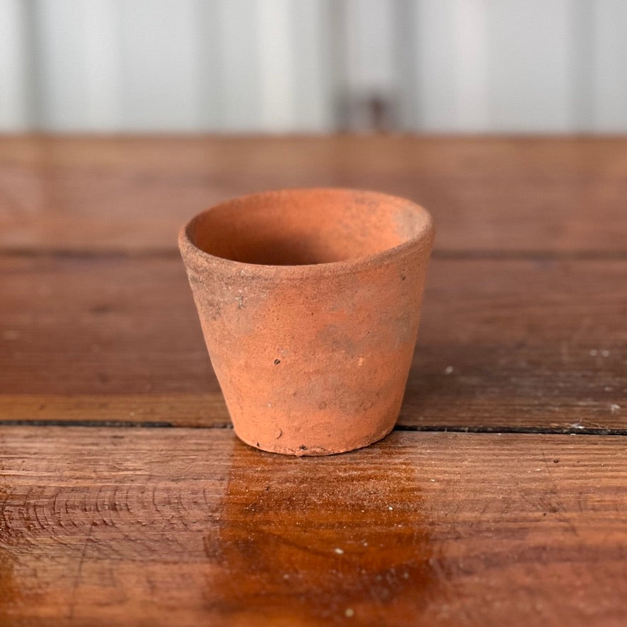 Antique English Terracotta Seedling Pot