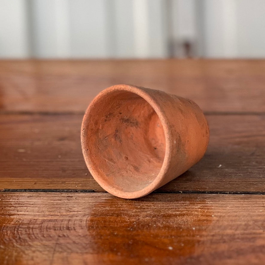 Antique English Terracotta Seedling Pot