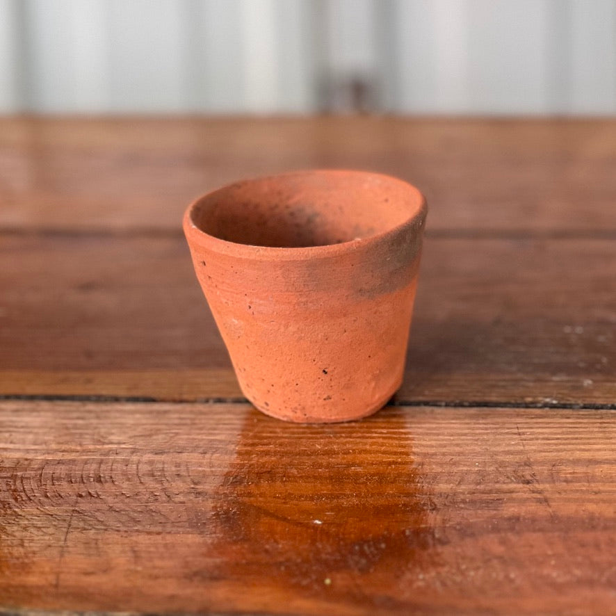 Antique English Terracotta Seedling Pot