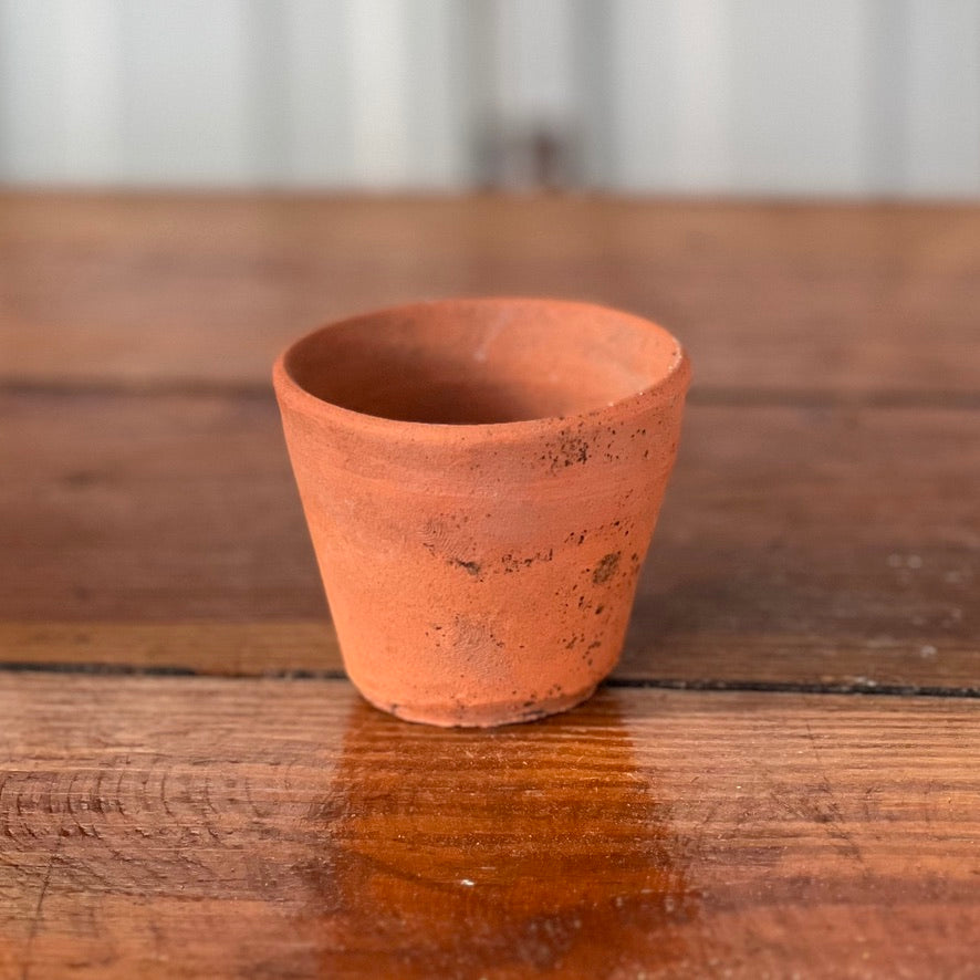 Antique English Terracotta Seedling Pot