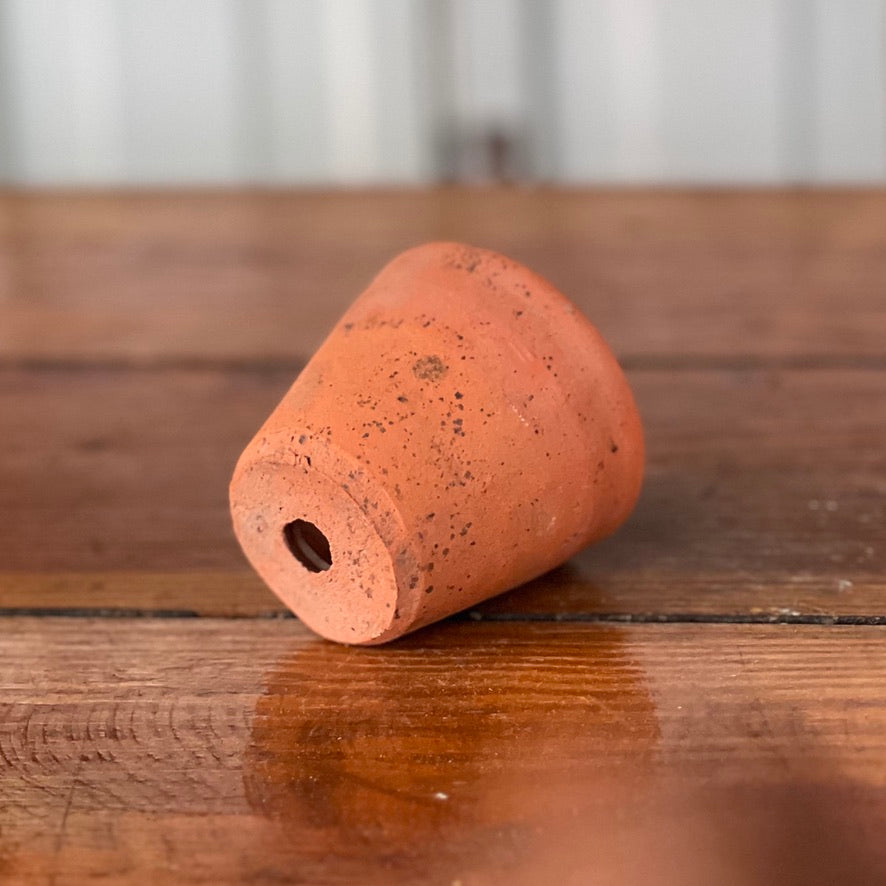 Antique English Terracotta Seedling Pot