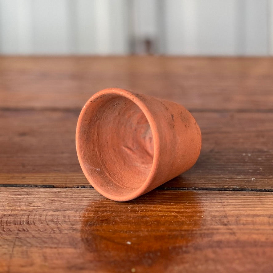 Antique English Terracotta Seedling Pot