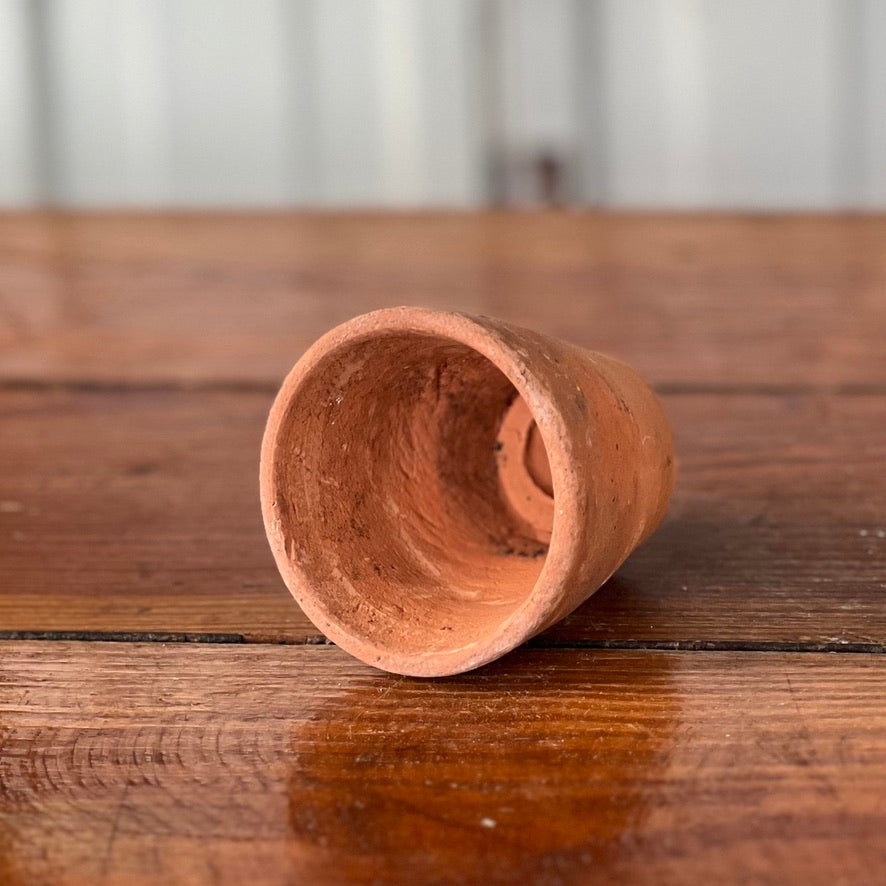 Antique English Terracotta Seedling Pot