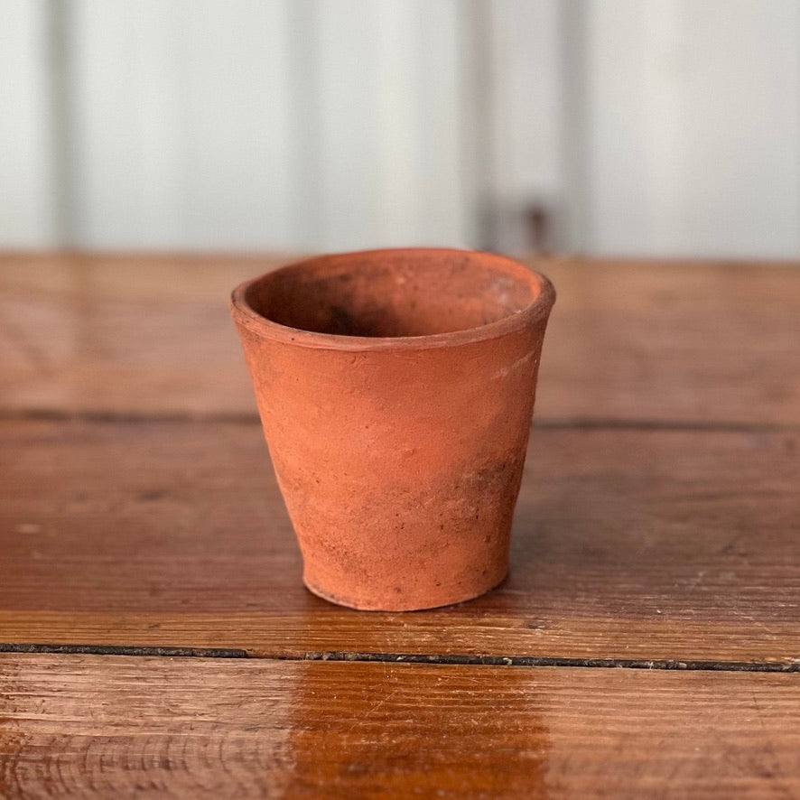 Antique English Terracotta Seedling Pot