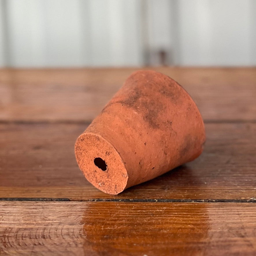 Antique English Terracotta Seedling Pot