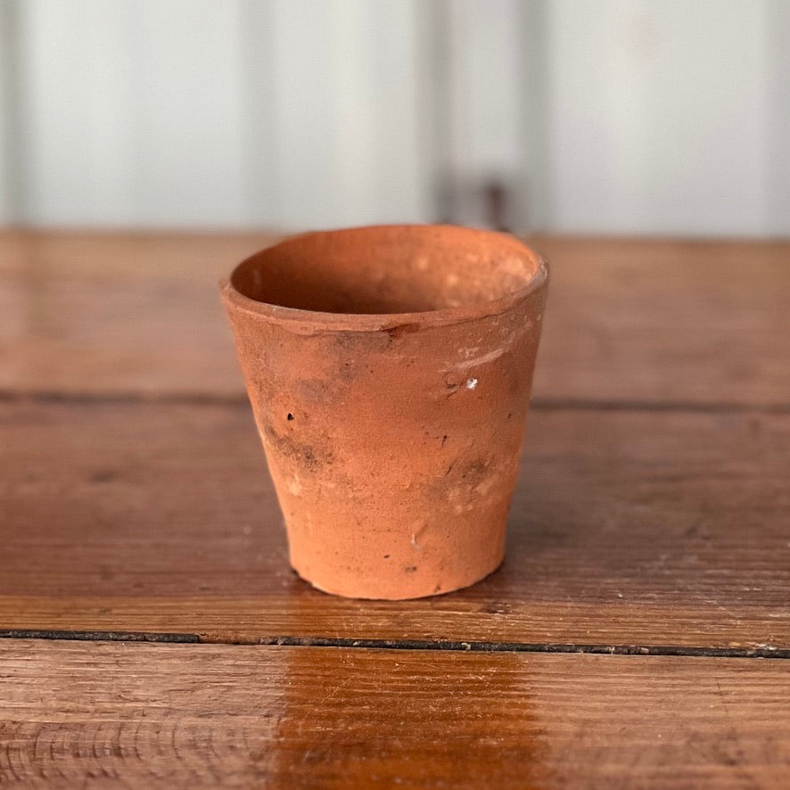 Antique English Terracotta Seedling Pot