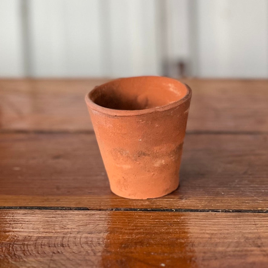 Antique English Terracotta Seedling Pot