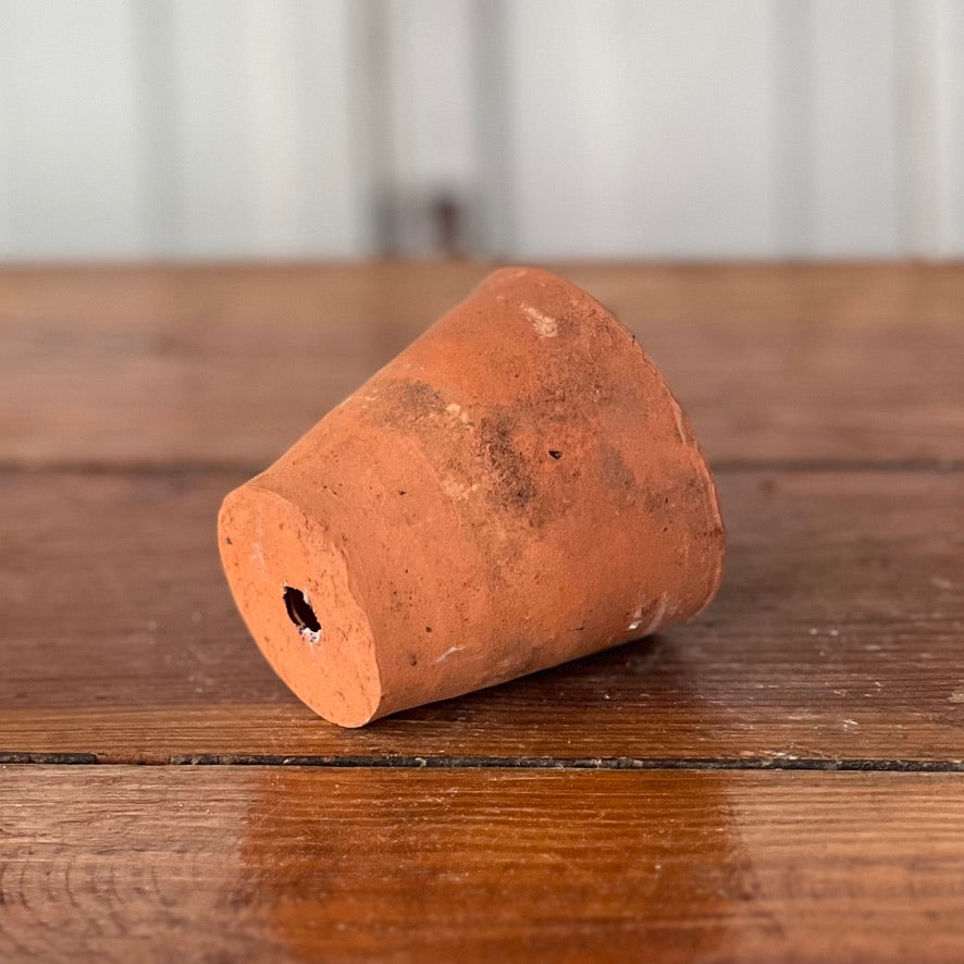 Antique English Terracotta Seedling Pot