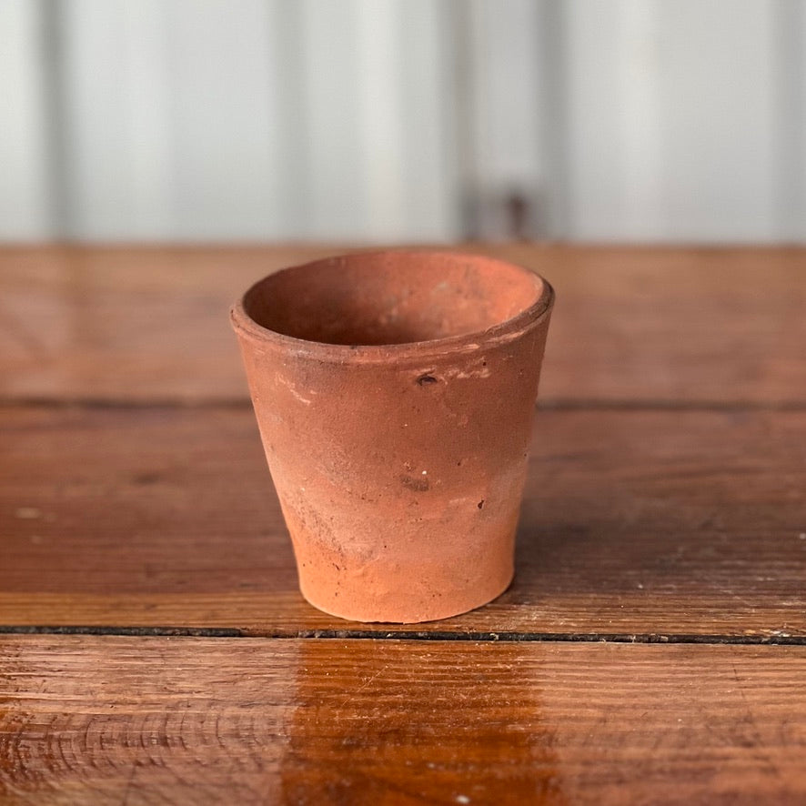 Antique English Terracotta Seedling Pot