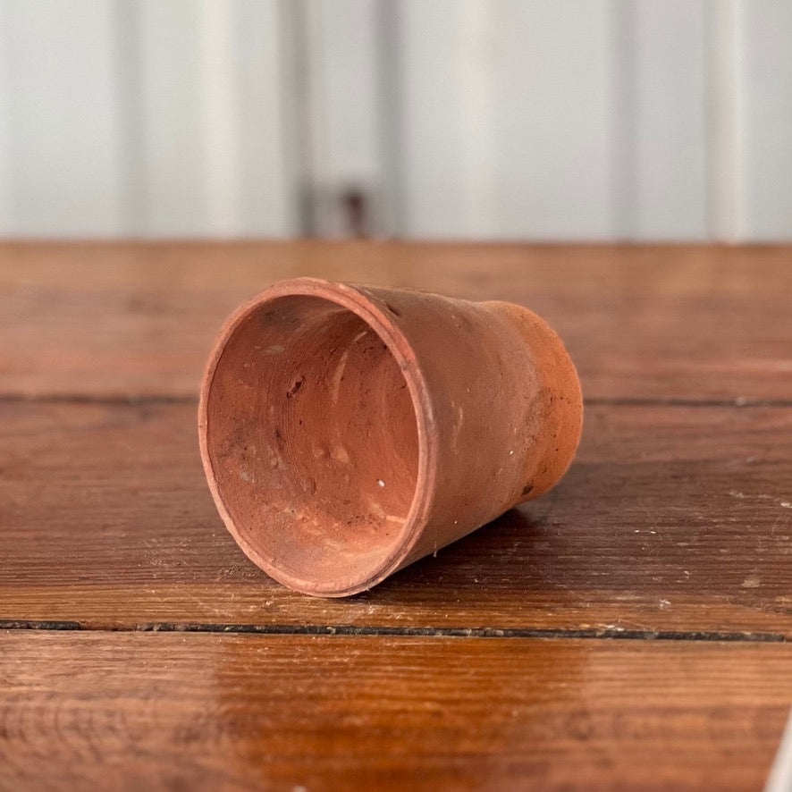 Antique English Terracotta Seedling Pot