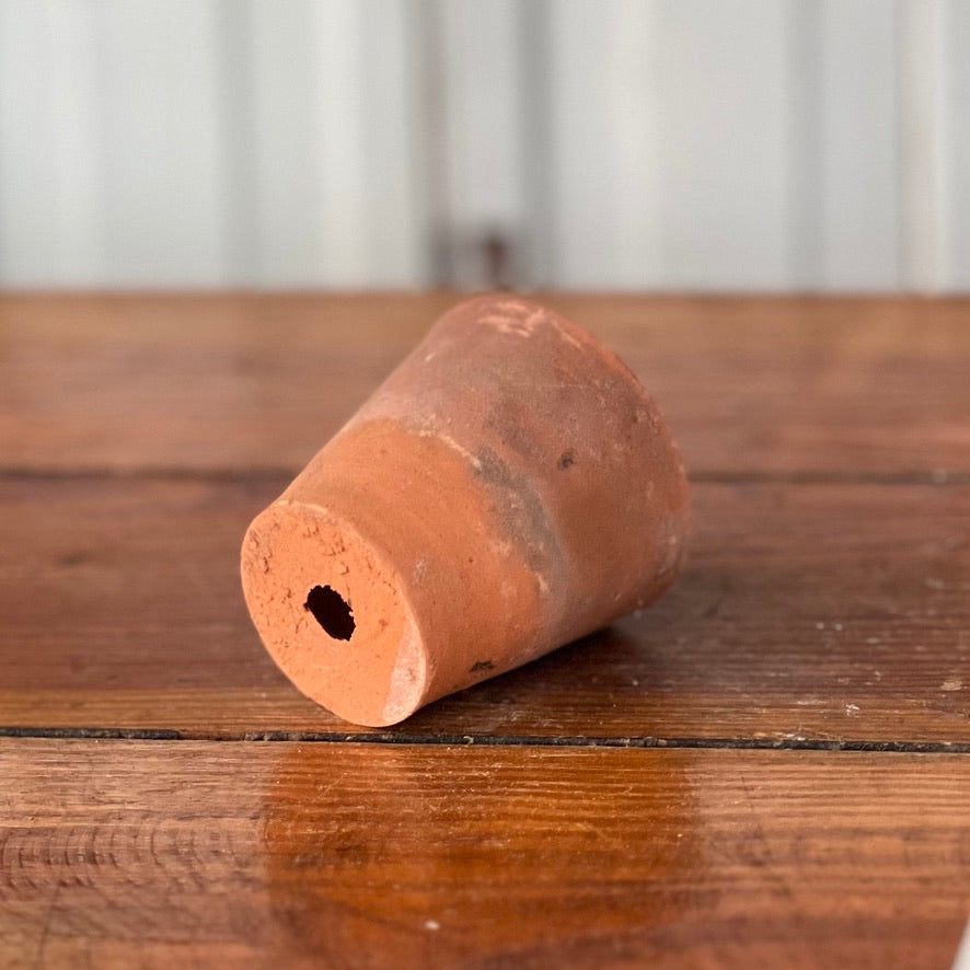 Antique English Terracotta Seedling Pot